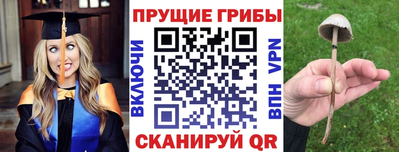 Псилоцибиновые грибы мухоморы  даркнет сайт  Кыштым 